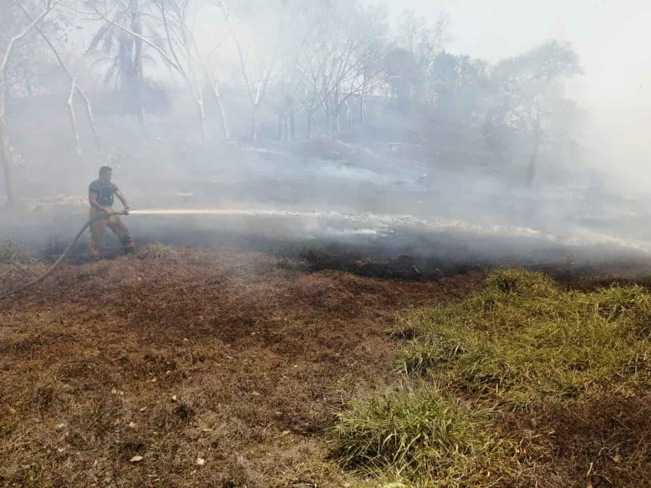 M S De Hect Reas Consumidas Por Incendios En Acayucan Pc