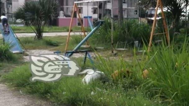 Crece Maleza En Parque De La Colonia Vistalmar En Coatzacoalcos