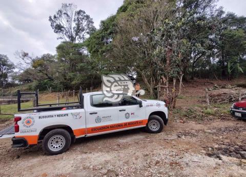 Hallan Cuerpo Colgando De Un Rbol En Colonia De Xalapa