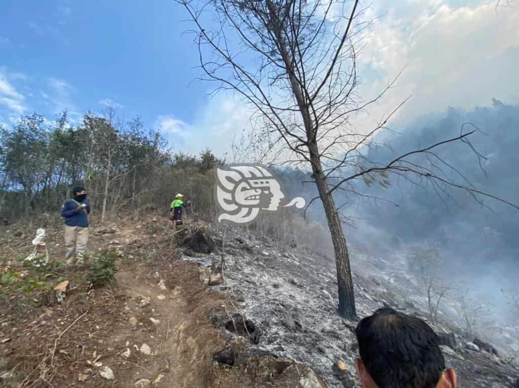 Incendio forestal consume 12 hectáreas en la zona centro de Veracruz