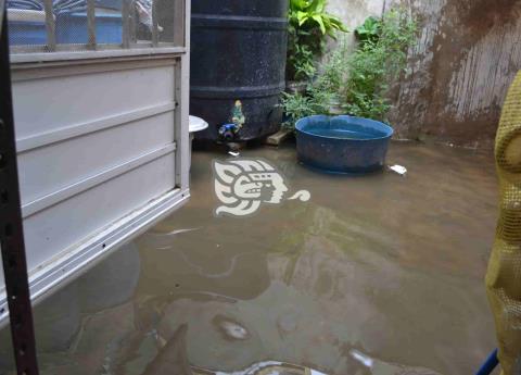 Lluvias Desbordan Drenajes En Coatzintla Hay Viviendas Inundadas