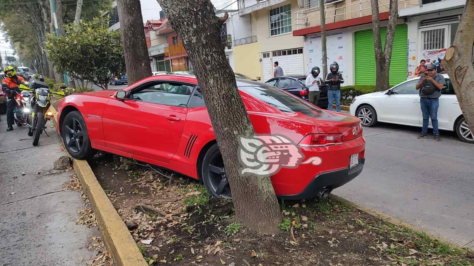 Auto choca contra un árbol en la avenida Américas en Xalapa