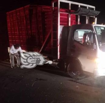 Vuelca camión cargado con pollos en la autopista Córdoba Veracruz