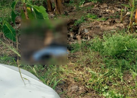 Hombre Muere Arrollado En La Carretera Santa Cruz Cosamaloapan