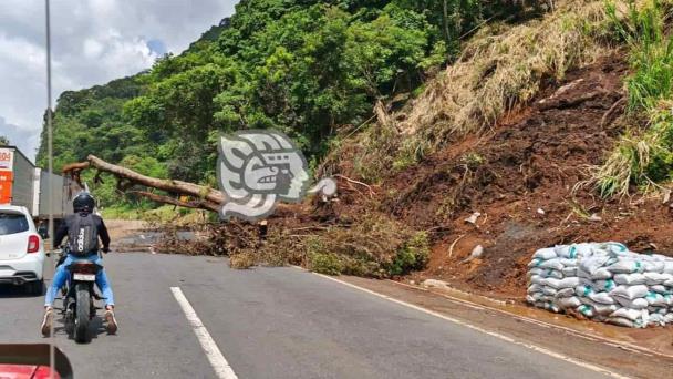 Desgajamiento De Cerro Bloquea La Autopista Puebla Orizaba