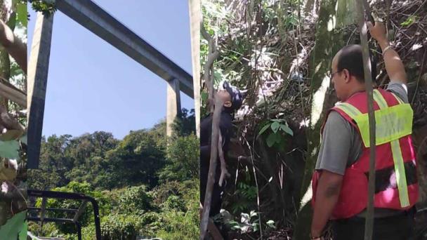 Qué ocurrió en el puente Metlac Llamada de alerta moviliza a cuerpos