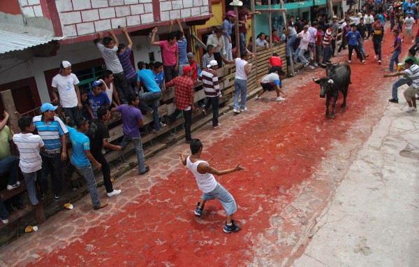 Gobernador, no permita vaquillada en Xico; ley la prohíbe, llama Red Animalista