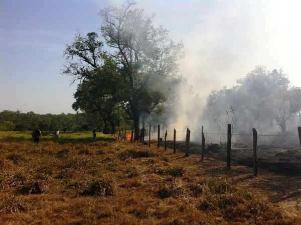 Emiten decreto para prohibir quemas agrícolas hasta el 14 de agosto