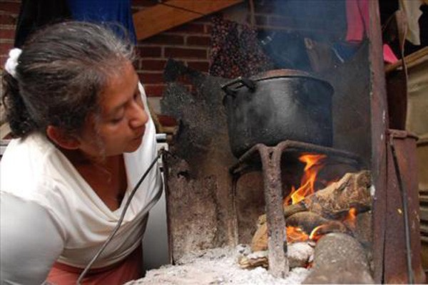 Uso de leña acaba con nacimientos de agua para Xalapa