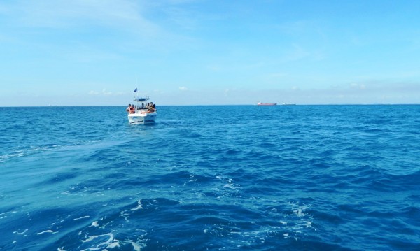En Tuxpan, industria petrolera daña arrecifes