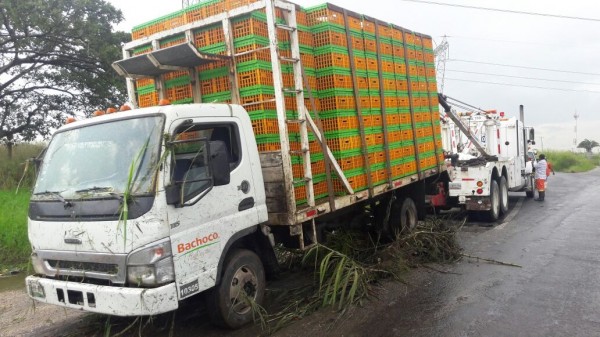 Camión de Bachoco sufre accidente en Las Matas