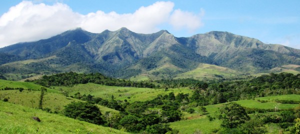 Actividad ganadera, principal causa de deforestación en la Sierra de Santa Martha en sur de Veracruz