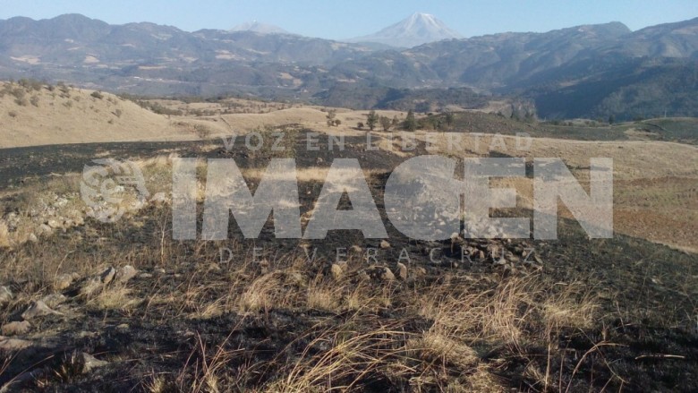 Oficialmente se habló de dos hectáreas quemadas en el Parque Nacional del Pico de Orizaba:  Ricardo Rodríguez Demeneghi