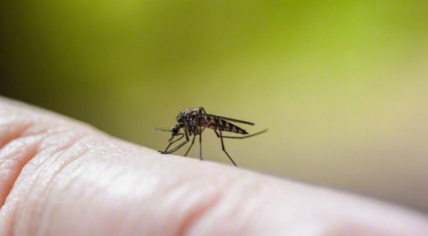 De tres casos de zika en el país, uno es de Veracruz: Salud