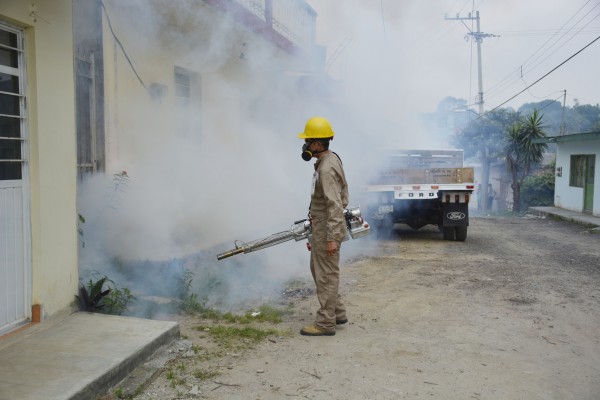Jalisco y Veracruz, primeros lugares en casos de dengue