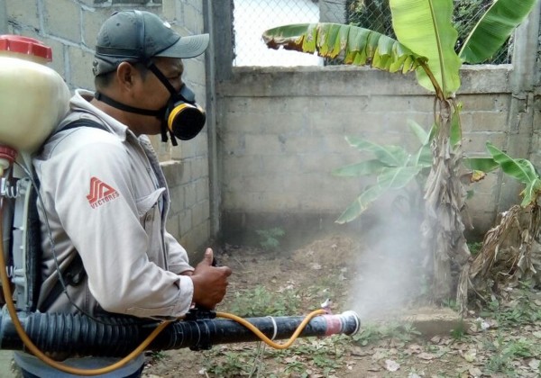 Veracruz, con 710 casos probables de dengue; segundo lugar en el país
