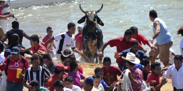 Tres días de cárcel y 24 mil pesos a quien maltrate toros en fiestas de Tlacotalpan