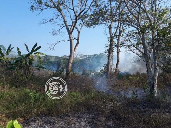 Liquidados, tres incendios de pastizales en la zona de Orizaba