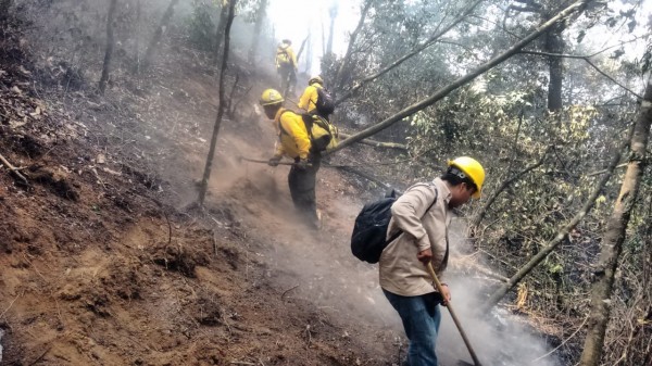 Reserva natural San Juan del Monte, en recuperación tras incendio