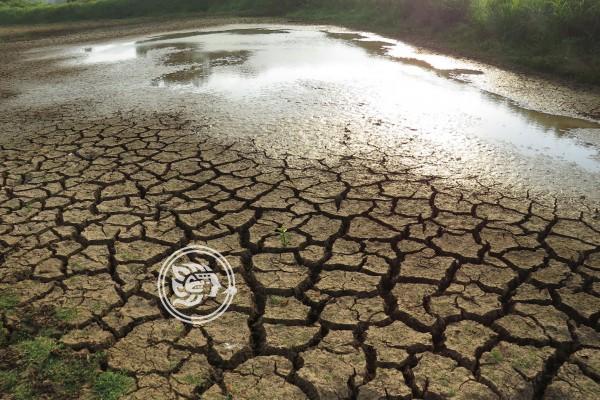 Grave sequía en 2020 amenaza a Veracruz, alerta Cuitláhuac