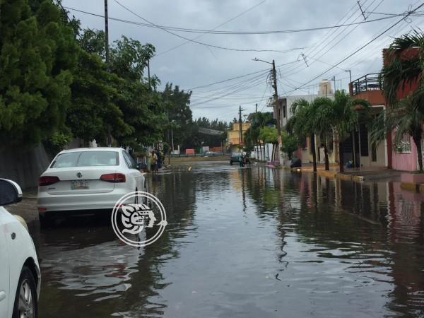 Intensas lluvias provocan encharcamientos en Veracruz 