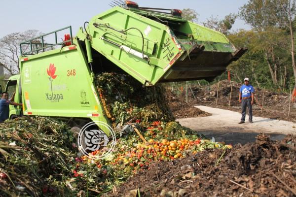 Solo 16% de residuos orgánicos se aprovechan en Xalapa