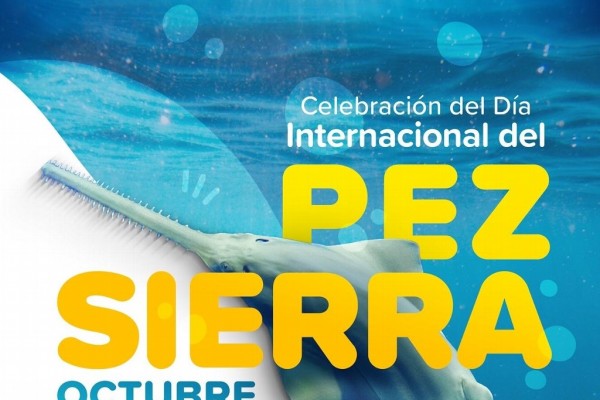 Acuario de Veracruz realizará actividades alusivas al Día Mundial del Pez Sierra