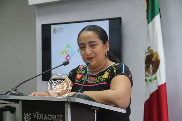 Niegan falta de coordinación entre Sectur y empresarios de Veracruz