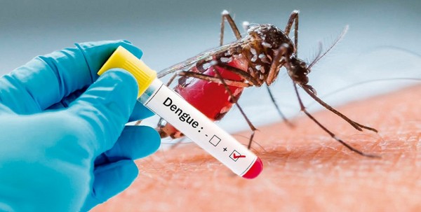 Dengue no da tregua; suman 7 mil casos en Veracruz