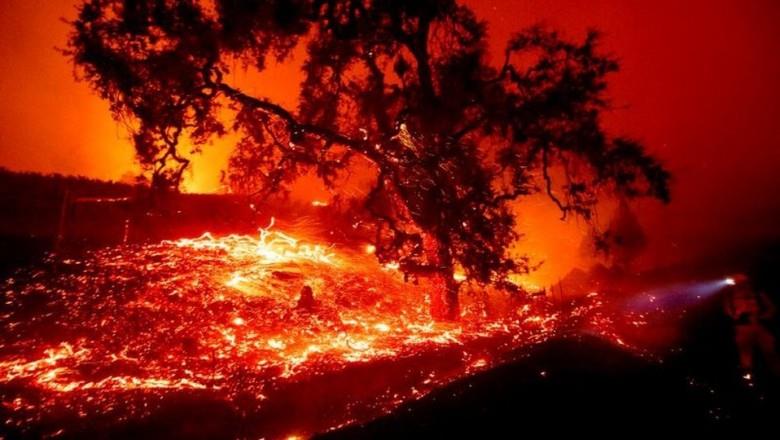 Incendios en California ya avanzaron a México