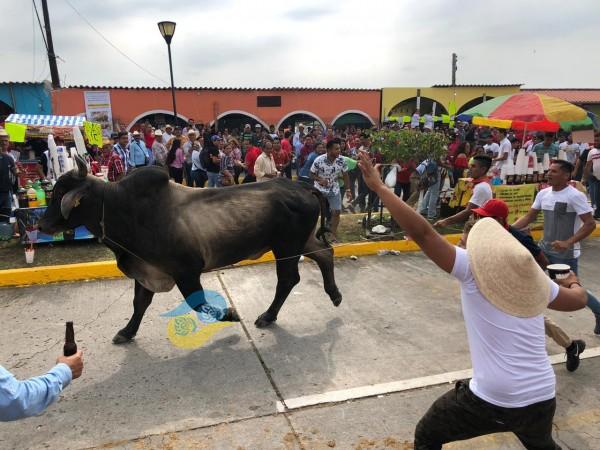 3 días de cárcel y 24 mil pesos a quien maltrate toros en fiestas de Tlacotalpan