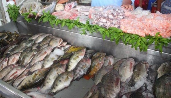 Baja captura de especies genera alza en precios de pescaderías
