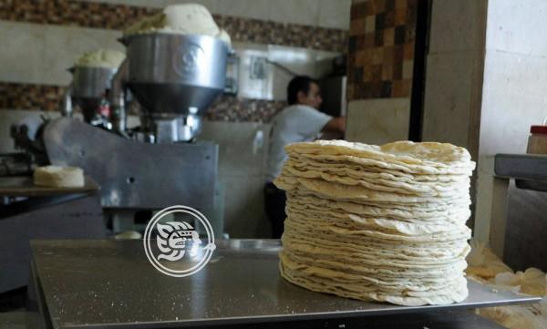 3 razones hacen a la industria de la masa y la tortilla, la más importante del país