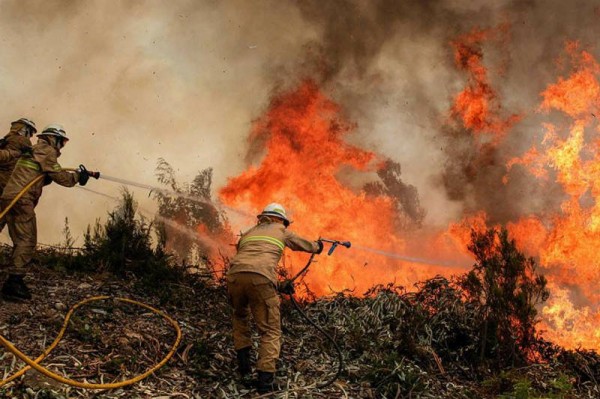 Atiende Gobierno de Veracruz 2 incendios  forestales activos