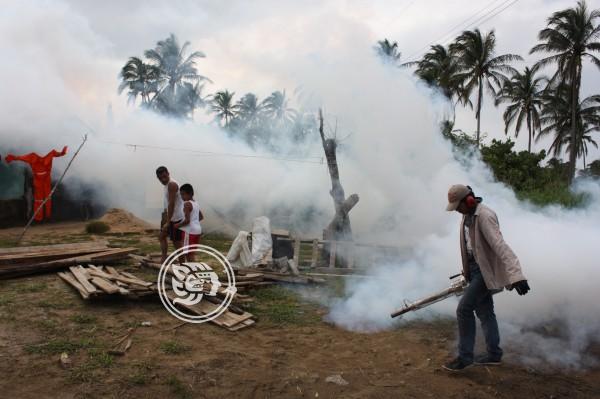 Dengue, la otra amenaza mientras Veracruz se concentra en COVID-19