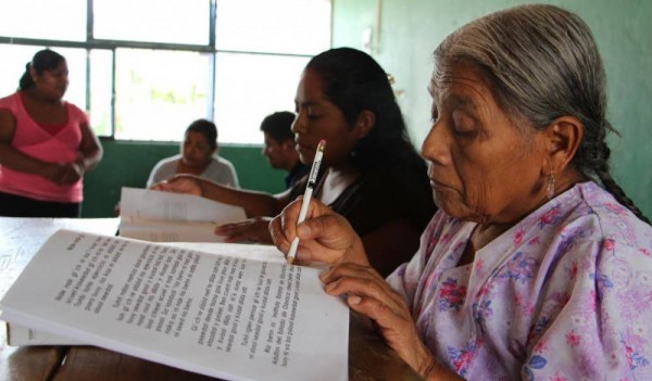 Veracruz, primer lugar en analfabetismo a nivel nacional