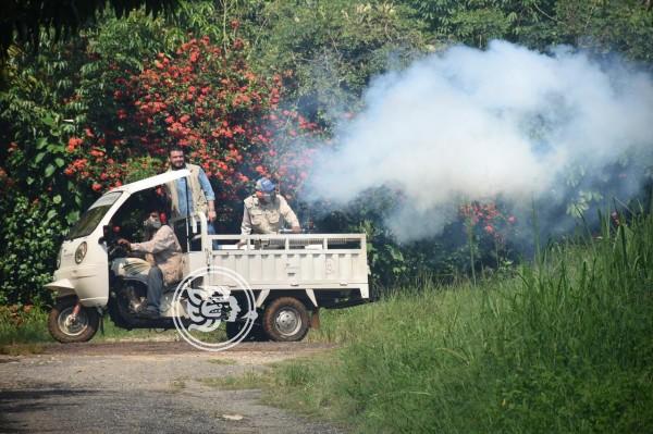 Veracruz, con 1 muerte y 702 casos confirmados de dengue