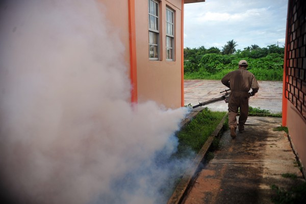 Desplaza Jalisco a Veracruz en incidencia de dengue