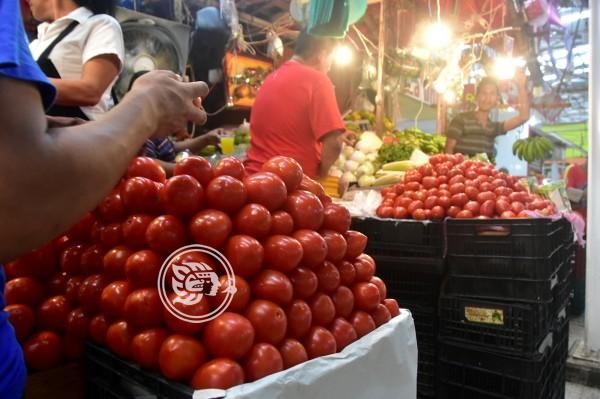 Precio del tomate se dispara hasta 30 pesos el kilo en Veracruz