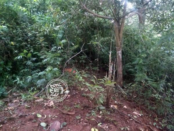 Localizan restos en Soteapan; desapareció hace casi 2 meses