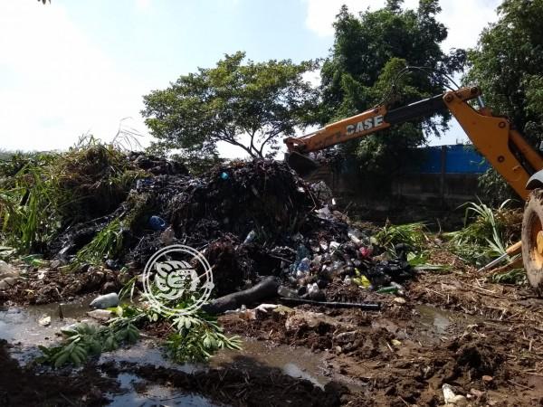 Desazolve de arroyos evita desbordamientos en Minatitlán