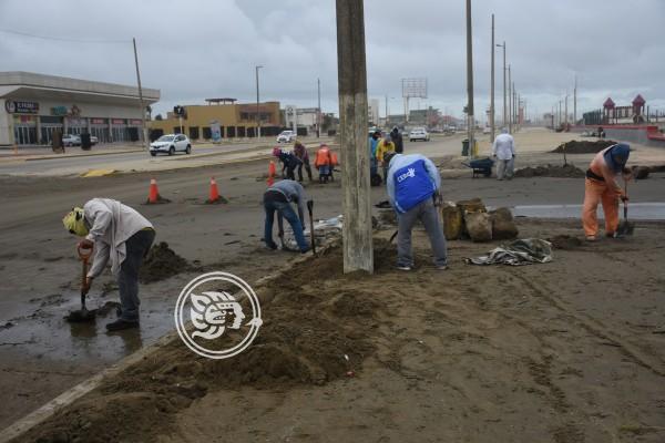 Intensifican trabajos de limpieza en el Malecón