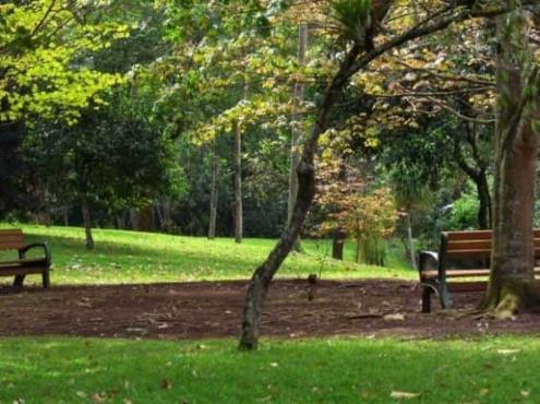Reconocen a Jardín Botánico de Xalapa con acreditación de ArbNet