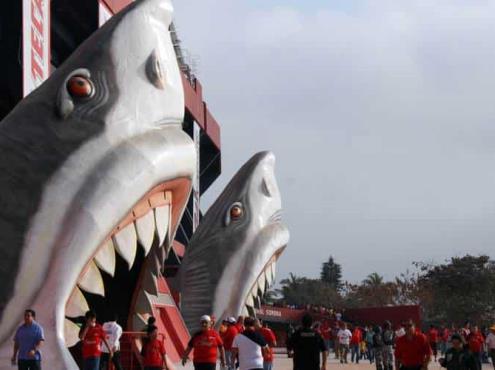 FMF recibe documentación para el regreso de Tiburones Rojos