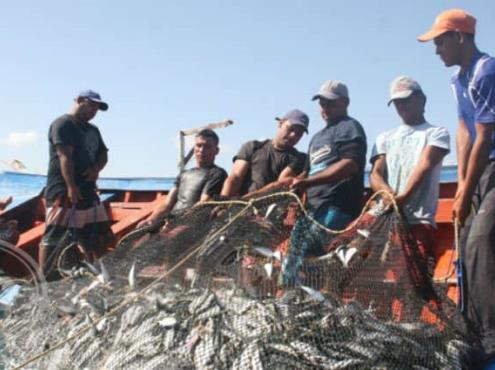 Avanza en 73% entrega de apoyos para pesca en Golfo de México