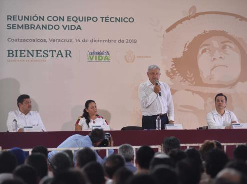 Anuncia AMLO ampliación de Sembrando Vida en Veracruz