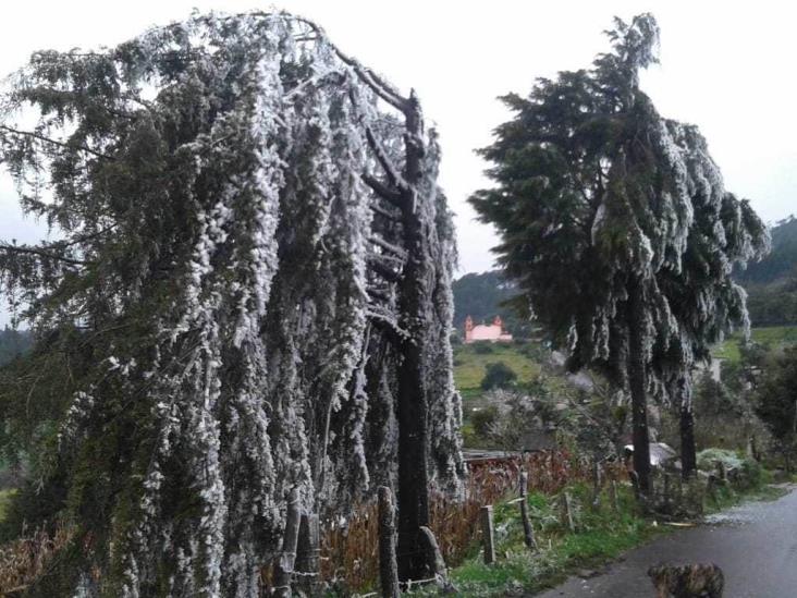 Heladas y lluvias por el Frente Frío 26 en Veracruz