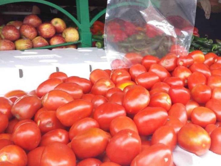 Bajaría precio del tomate con cosecha en sierra del sur de Veracruz 