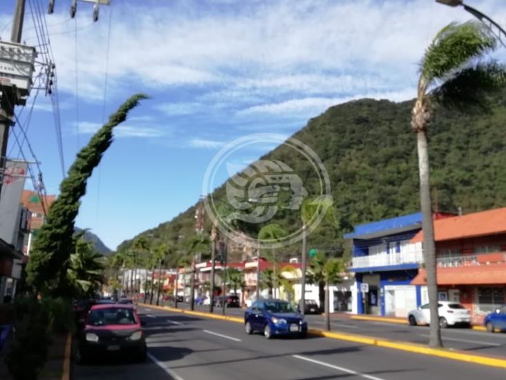 Surada En Orizaba Deja árboles Caídos Y Cortes De Energía Eléctrica