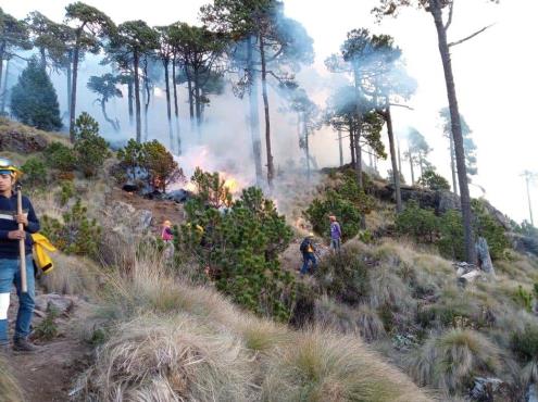 Empresarios provocan incendios forestales , acusan especialistas